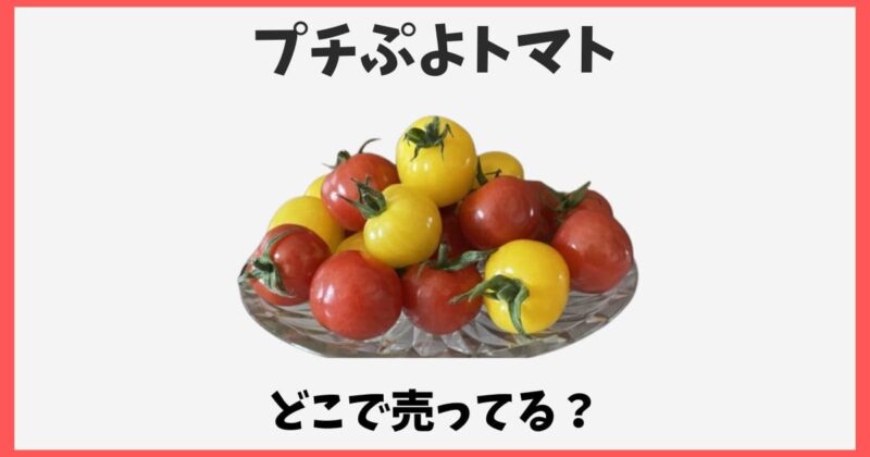 プチぷよトマトはどこで売ってる?スーパーなど販売店や通販お取り寄せ