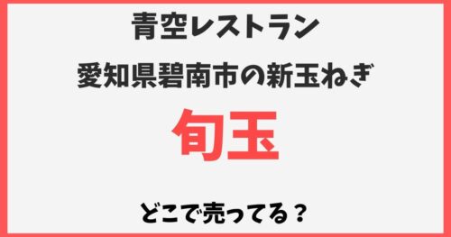 旬玉（新玉ねぎ）の通販お取り寄せ方法！どこで売ってる？